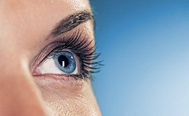 Wilde Success, Business Coach, Business Coaching, Carmen Wilde, Gary Wilde Eye on blue background