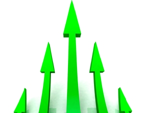 Business Options; Wilde Success; Carmen Wilde; Business Growth