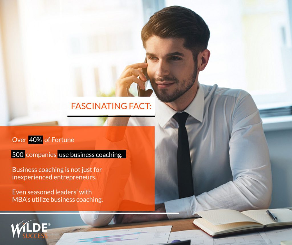 Business Coaching; Wilde Success; Carmen Wilde; Business Results